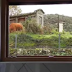Ferienhaus Casa Da Barroca Arcos de Valdevez