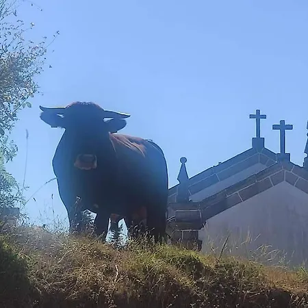 Casa Da Barroca Casa de Férias *