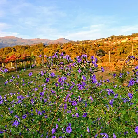 Casa de Férias Casa Da Barroca