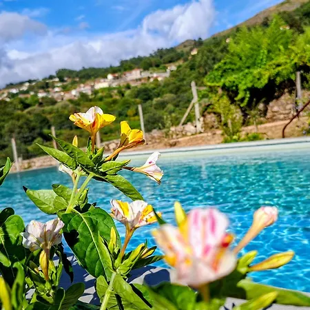 Casa Da Barroca Casa de Férias *