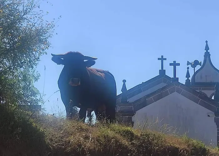 Casa Da Barroca Casa de Férias *