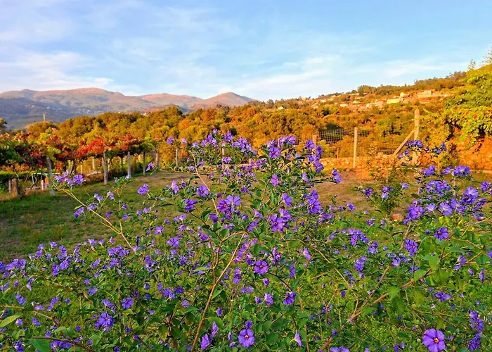 Casa de Férias Casa Da Barroca