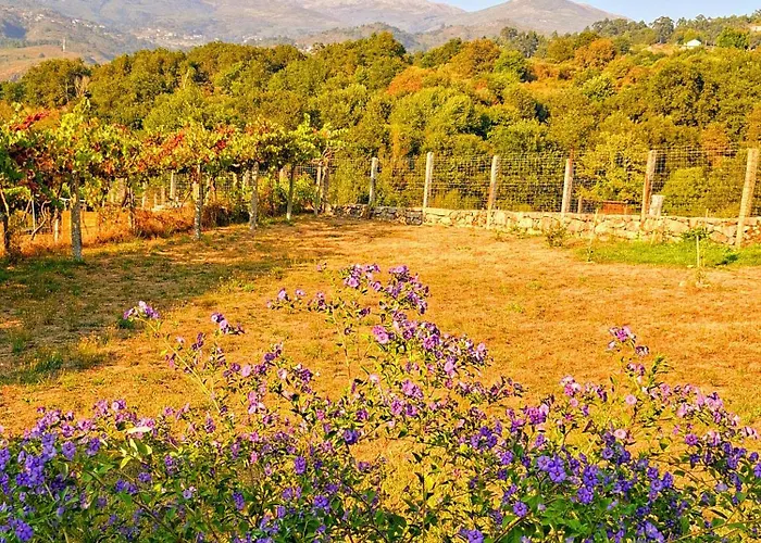 Casa de Férias Casa Da Barroca Arcos de Valdevez